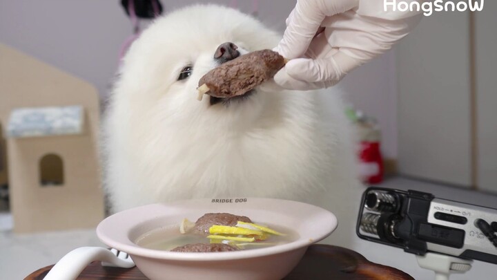 Made a pot of beef bone soup for the little dog, and it was overjoyed.