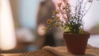 🇰🇷Ep.01 - Peach Trap (2025) EngSub