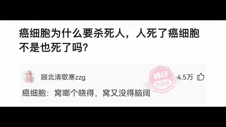 Witty Reply: Which historical figure have you ever misunderstood the most?