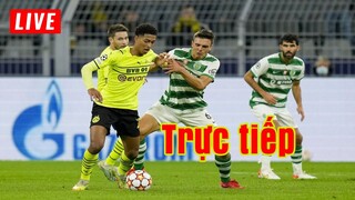 Trực tiếp Sporting Lisbon vs Dortmund | Champions League