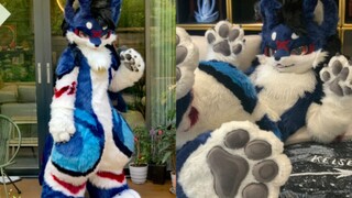 【全装委托】来一点帅气小狗