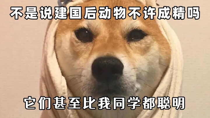 Jadi begini, bukannya setelah berdirinya negara dilarang kalau hewan jadi makhluk berkodrat?