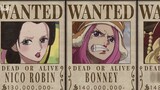 Animasi|One Piece-Jumlah Imbalan Setiap Peran