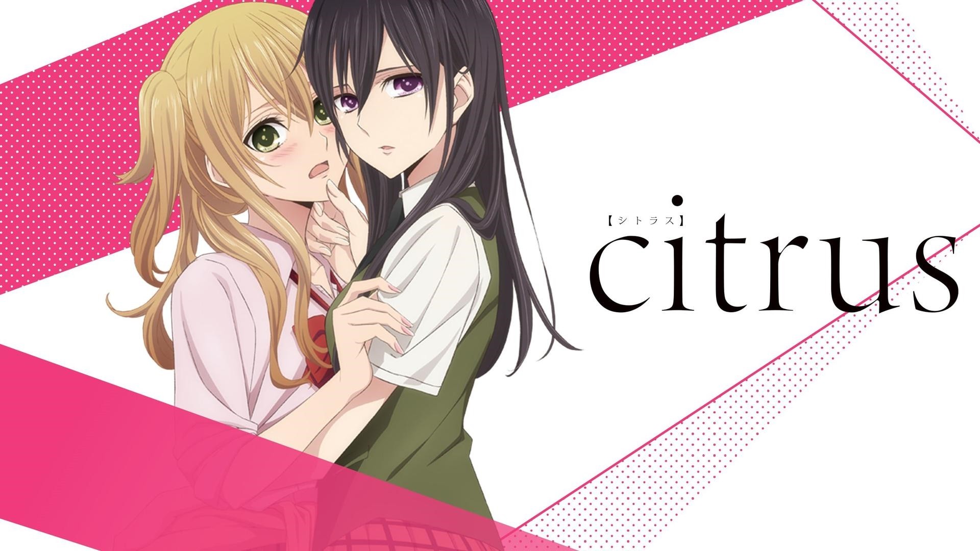 Citrus Season 2 Release Date Renewed or Cancelled  Whenwill