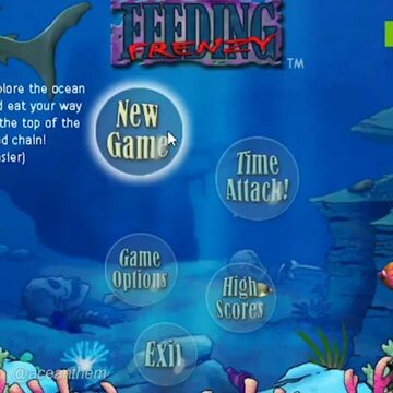 ketika feeding frenzy didunia nyata