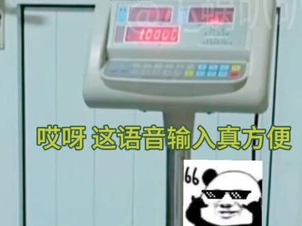 熊猫:你才是猪！！