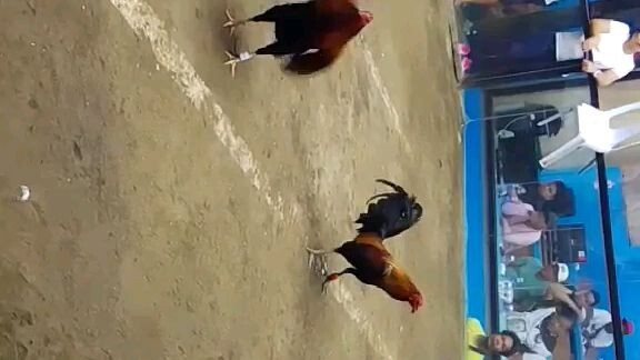 R&J gf champion super 3 hits silang cocpit arena