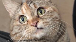 You're not by any chance cooking shrimp, are you?