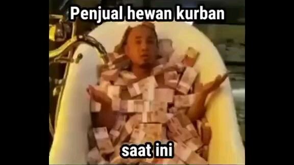 meme idul adha🗿