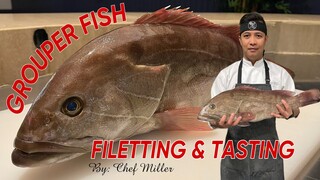 FILLETING GROUPER FISH AT THE FIRST TIME AND DISCOVERING THE TASTE OF IT'S MEAT