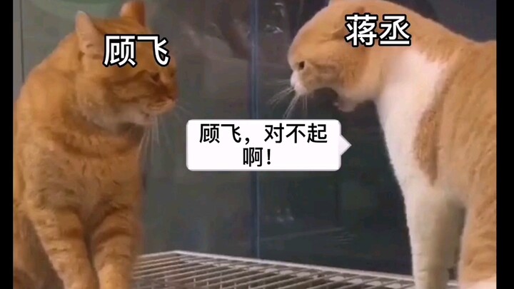 Giống hệt dáng vẻ của anh Cheng khi xin lỗi Cố Phi.