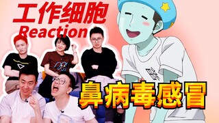 【工作细胞】鼻病毒感冒是“不治之症”？免疫细胞出动需要许可证？
