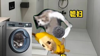 我的老公会掉色