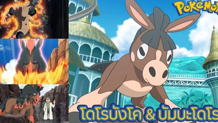 Pokemon Profile โดโรบังโค & บัมบะโดโร โปเกมอนม้าศึกประจัญบานแห่งโลกของโปเกมอน