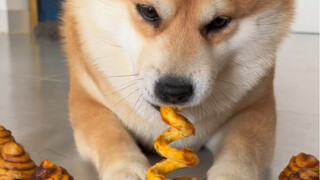 No puppy can resist the poop-shaped teething stick, right?