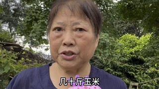 我大爷大妈已读乱回天花板