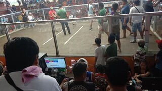 Banaybanay DavOr