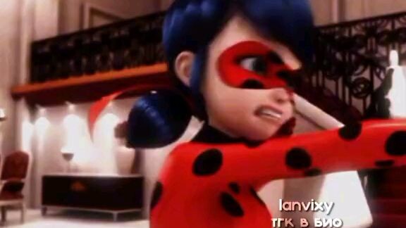 ohhhhh n ice ladybug and catnoir