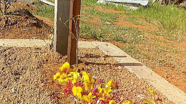 happy Father's Day🥲