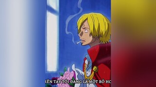 Đúng trên tay tôi đang là một bó hoa... sau5894 lyrics nhacchill douyin抖音 onepiece anime xuhuong fyp