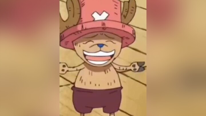 onepiece chopper