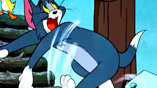 cat and mouse