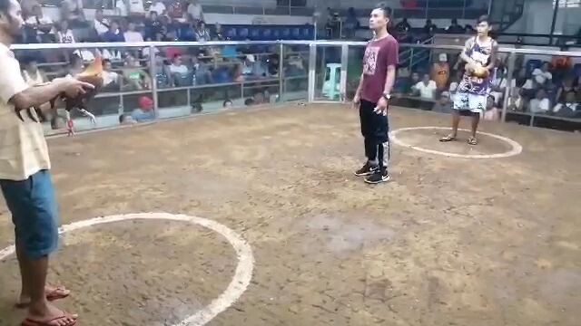 meron tayo red tape pachampion tayo management kalaban