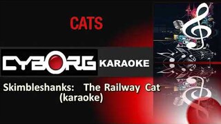 CATS MUSICAL Skimbleshanks The Railway Cat karaoke