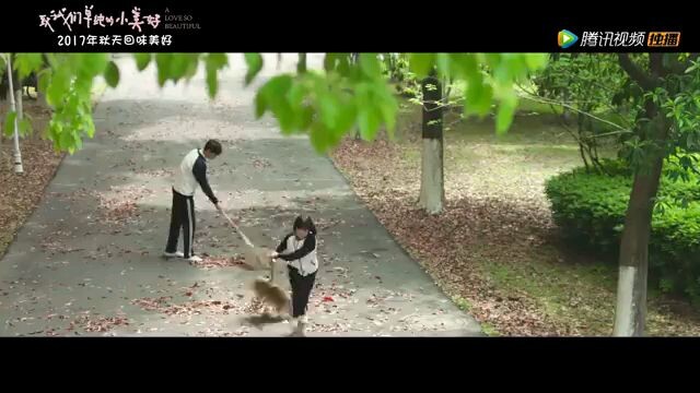 A Love so beautiful Song