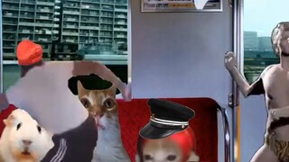 When the kitty realizes she's going to be late for school