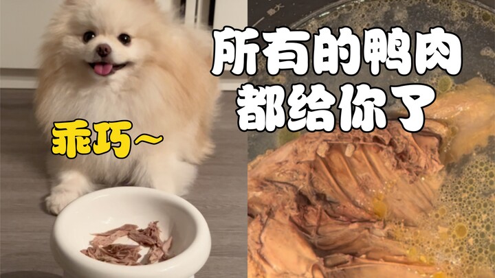 My puppy is way too easy to fool! Shh…