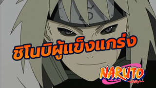 ชิโนบิ รุ่นที่ 4 รายงานตัว!