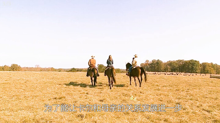 After the wealthy grandfather passed away, he left his grandson an extraordinary gift—the ending was