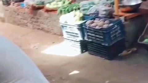 Mera pehla vlog hai
