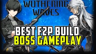 BEST F2P Build Calcharo and Rover Havoc - Wuthering Waves Guide