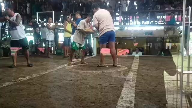 Ulutan 008