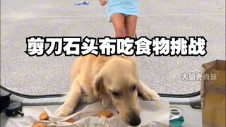 تحدي لعب سحب الأوراق مع الجرو وتناول الطعام