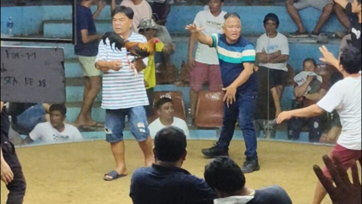 4 STAG DERBY CHAMPION 4         GXH2015 JR3   @RT DAPCO DAANBANTAYAN