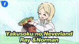 Yakusoku no Neverland|[AMV Gambaran Tangan]Ray &Norman_1