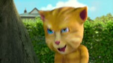 My Talking Tom ulang tahun