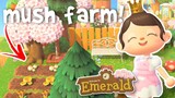 cluttered mushroom farm! 🍄 *fairycore build
