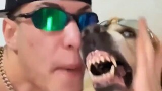 كوكو بي بوكس
