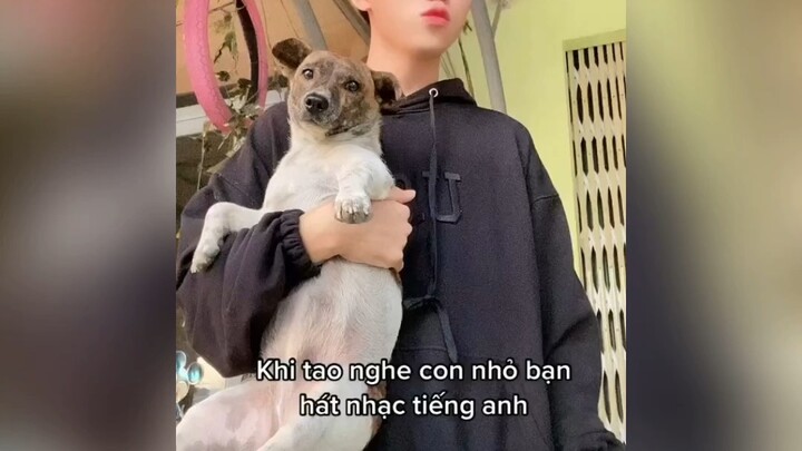 Nghe xong muốn xỉu luôn á