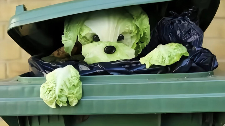 Những lời nhận xét sắc bén về ảnh chụp trong phần bình luận, tập “thần thánh” nhất từ trước đến nay!