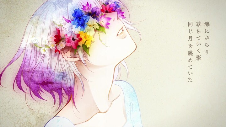 【hoa】Aurelia【n.k】