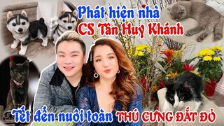 Phát hiện nhà ca sĩ Tân Huy Khánh tết đến nuôi toàn thú cưng đắt đỏ.