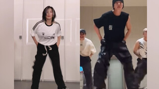 【Tiểu Hổ】Hổ Tử đang nhảy, còn tôi thì đang ngâm chân! seventeen-maestro dance break