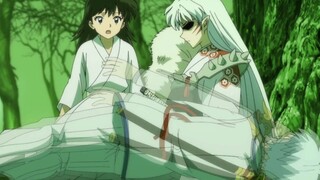 Sesshomaru được cứu rồi lại rơi xuống mãi mãi? Fairy Lingyue bất tử sẽ xuất hiện!