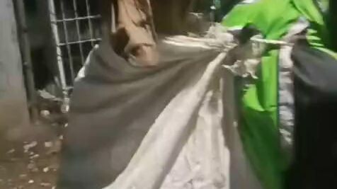 pengantaran serba bisa