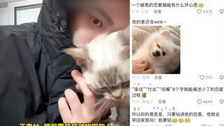 丁禹兮把家开成动物园，会让猫咪选择要不要跟他回家：“你愿意被我带回去养的话，就钻到包里面”